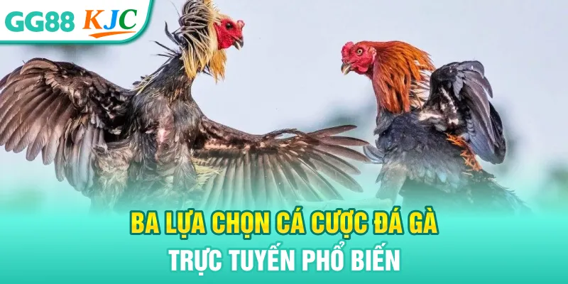 Ba lựa chọn cá cược Đá gà trực tuyến phổ biến