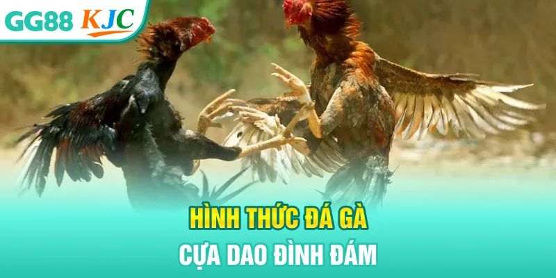 Hình thức đá gà cựa dao đình đám