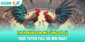 Đá gà trực tuyến